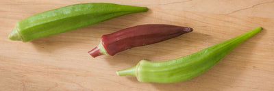 Planting and Growing Okra