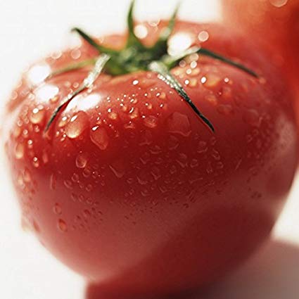 Grow Tomatoes In Texas And Everywhere – David's Garden Seeds®