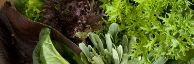 How To Make Compost For Your Vegetable Garden