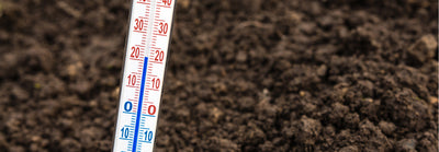 Soil Temperature For Planting