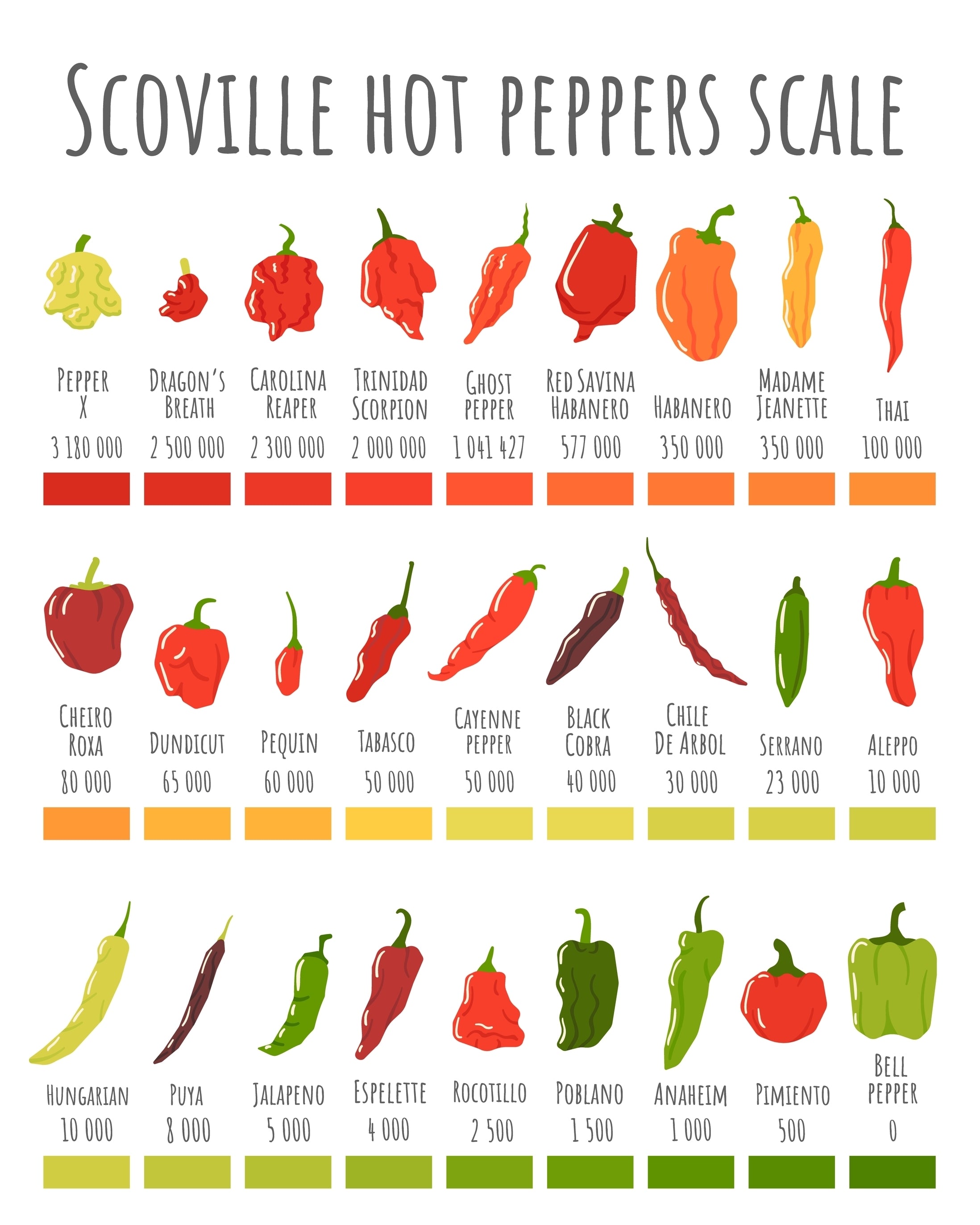 Pepper Chili Seeds – David's Garden Seeds®