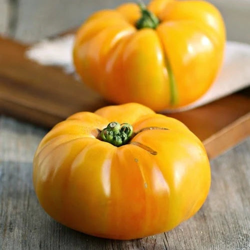 Tomato Beefsteak Indeterminate Brandywine Yellow 25 Non-GMO