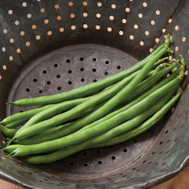 jade bush bean plant Bean Bush Jade (Green) 100 Non-GMO, Heirloom Seeds 200 Seeds