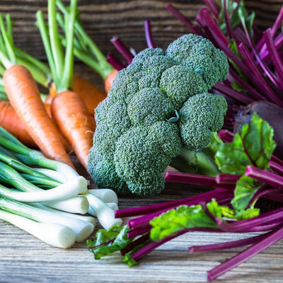 David's Garden Seeds® Gardening Information