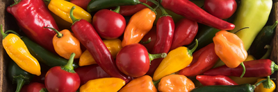 Hot Peppers Health Benefits