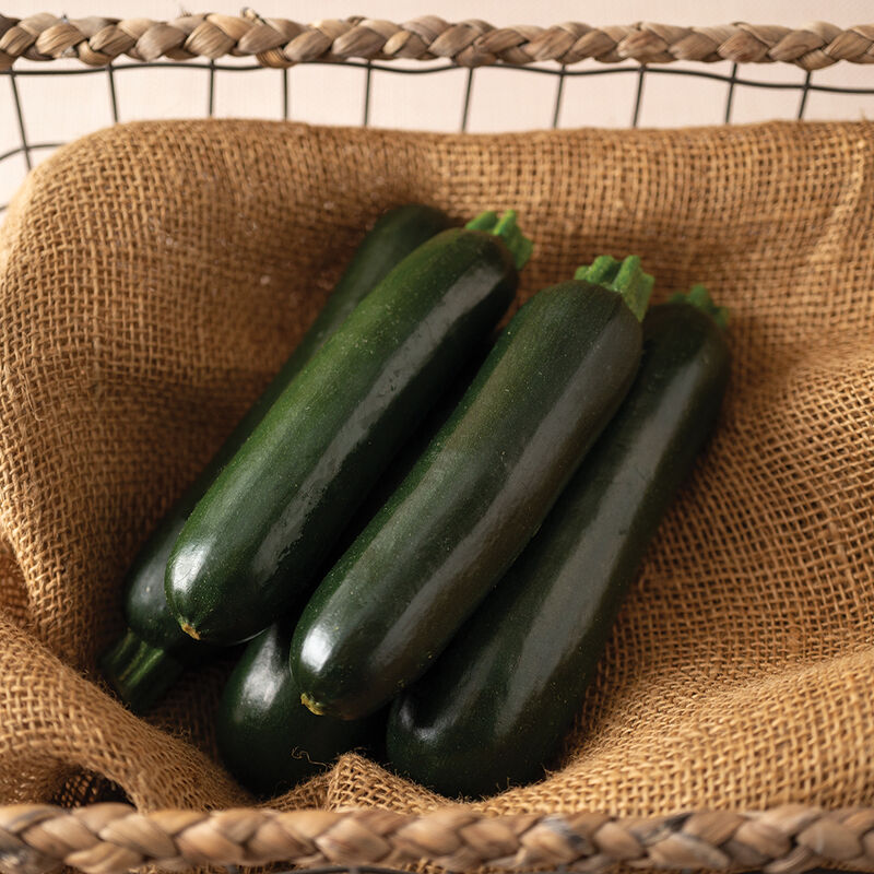 Zucchini is a summer squash with a classic elongated, cylindrical shape.  Zucchini is usually smooth and usually green with thin, edible skin. 