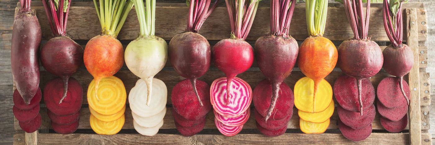 Beets are a favorite cool-weather crop, but lend themselves well to season extension throughout much of the growing season.  With 3-week succession planting, beets can fill the shelves of a market display or root cellar for much of the year. 