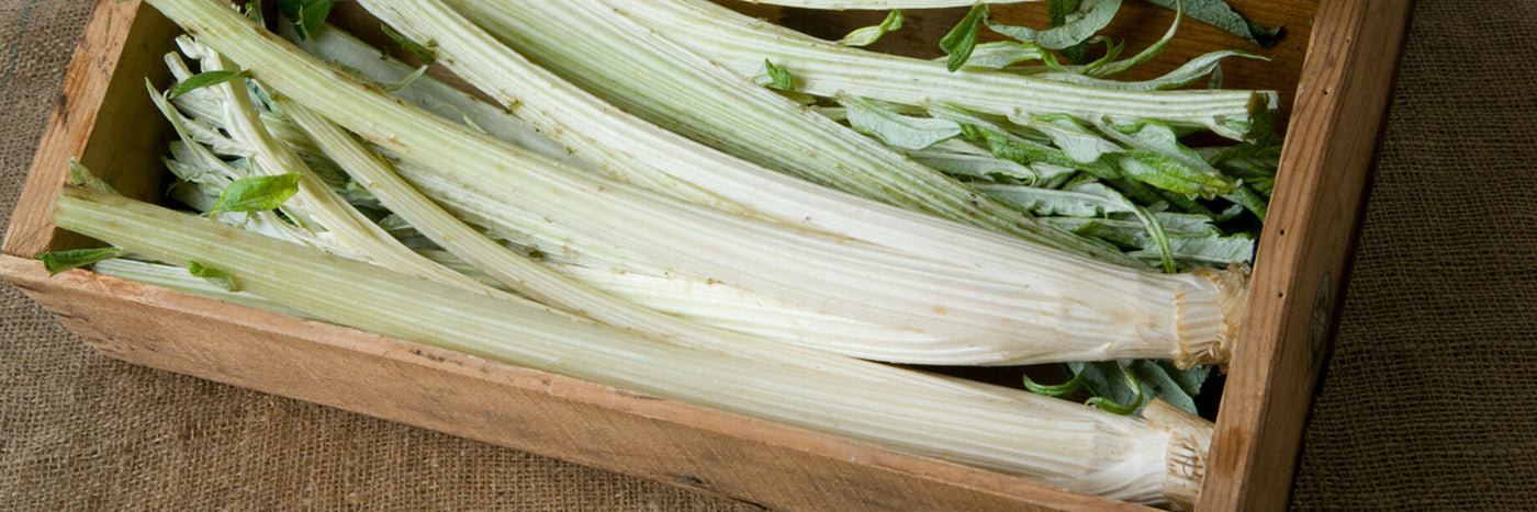 Cardoon is a culinary specialty originating in the Mediterranean.  Cardoon is related to the globe artichoke but is cultivated for its artichoke-flavored leaf stems rather than flower buds. 