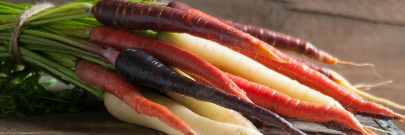 Each year David's grows several carrot varieties at their 8 acre farm located in Rossville, Texas.  We eat them fresh or can for later use, even though they will keep 3 to 4 weeks in the refrigerator.