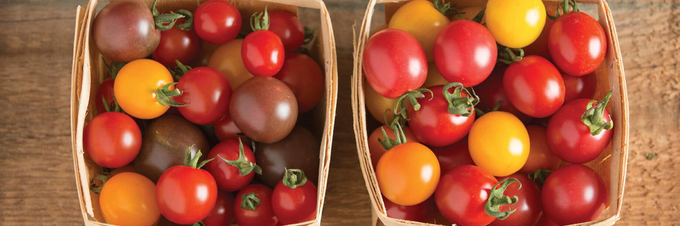 These are plants that David has picked out as being the easiest to grow with exceptional tasting vegetables.  Come by and pick up today.