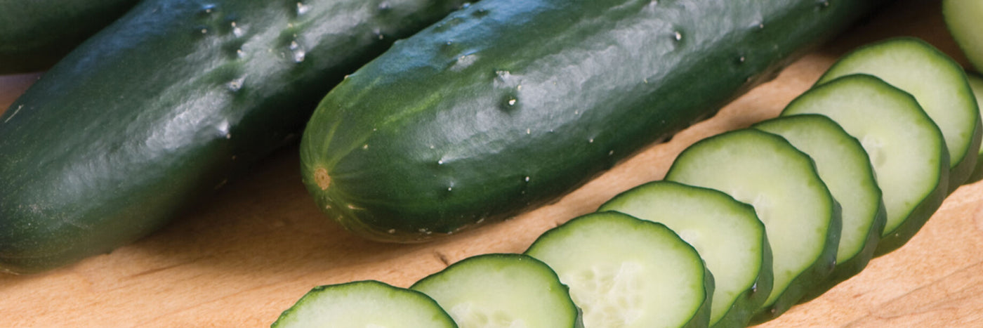 David's cucumber varieties are selected for flavor, disease resistance, productivity, and appearance,  Cucumbers are also one of the crops most widely grown in hydroponic systems. 