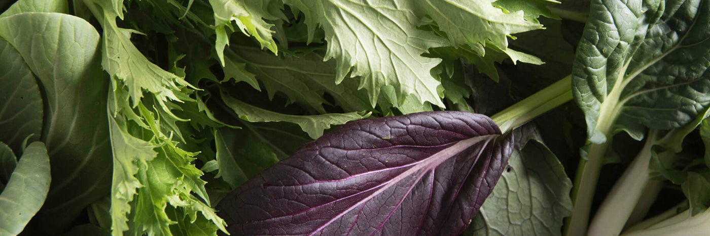 David's Garden Seeds has you covered when it comes to leafy greens.  David offers greens varieties originating in all corners of the globe, including open-pollinated, heirloom and hybrid varieties.