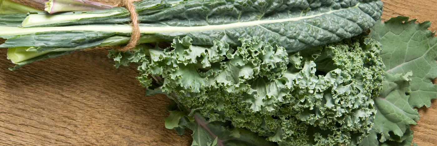 An exceptionally cold-tolerant crop with a sweet flavor enhanced by frost and cold weather, kale has become a garden and market staple.  Choose from an assortment of kale varieties, including heirloom; purple and green; curly 