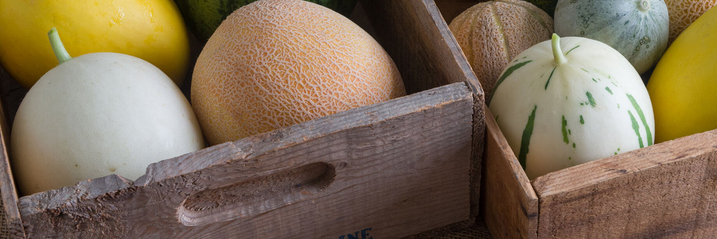 Cantaloupe, watermelon, strawberry and melons all come to mind when thinking about growing fruit.  With the exception of strawberry, all the others produce vines and are prolific.&nbsp;