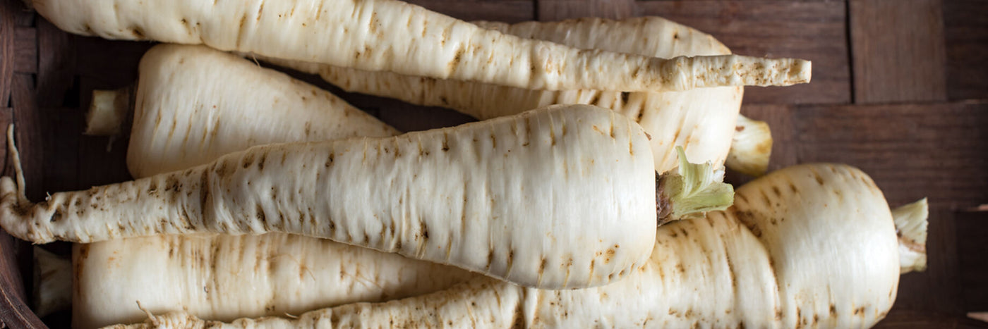 A close relative of carrots and one of the most cold-hardy vegetables, parsnips are suitable for fall and early spring harvests, and hold well in storage.