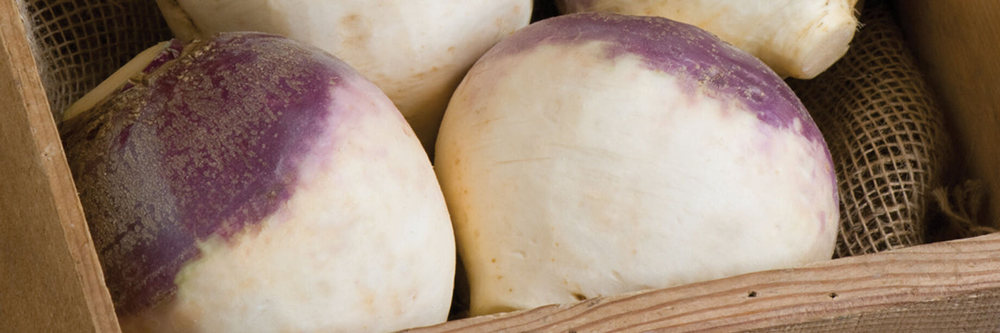 A New England and Canadian fall and winter favorite, rutabaga is easy to grow.  Although it requires some time to reach maturity, rutabaga tolerates the cool weather as it matures for harvest in the late fall.