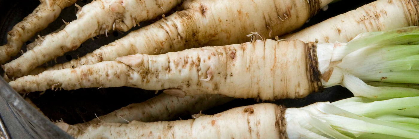 Once popular in the Victorian kitchen, salsify is a unique specialty item for the modern table.  Sow salsify (Tragopogon porrifolius) in spring and harvest the white roots in the fall. 