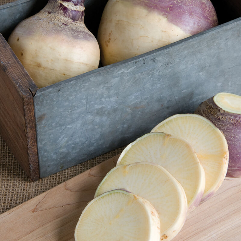 A New England and Canadian fall and winter favorite, American Purple Top Rutabaga is easy to grow. Its comforting flavor brings cheer to fall and winter vegetable dishes, soups, and stews. True to its name, this rutabaga is purple above the soil line and tan below. The flattened-round bulbs have a mildly sweet flavor and good uniformity. Stores well. 