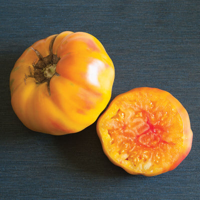 The Striped German Tomato has a bi-color red and yellow fruit. The flat, medium to large, variably ribbed-shoulder tomatoes are shaded yellow and red. The marbled interior looks beautiful sliced. Complex, fruity flavor and smooth texture. Medium-tall vines. Indeterminate. Harvest in about 70 days. Germination rate about 80% or better.  Our Non-GMO seeds are sustainable. Our packaging is environmentally friendly, climate friendly, reusable, and recyclable. 
