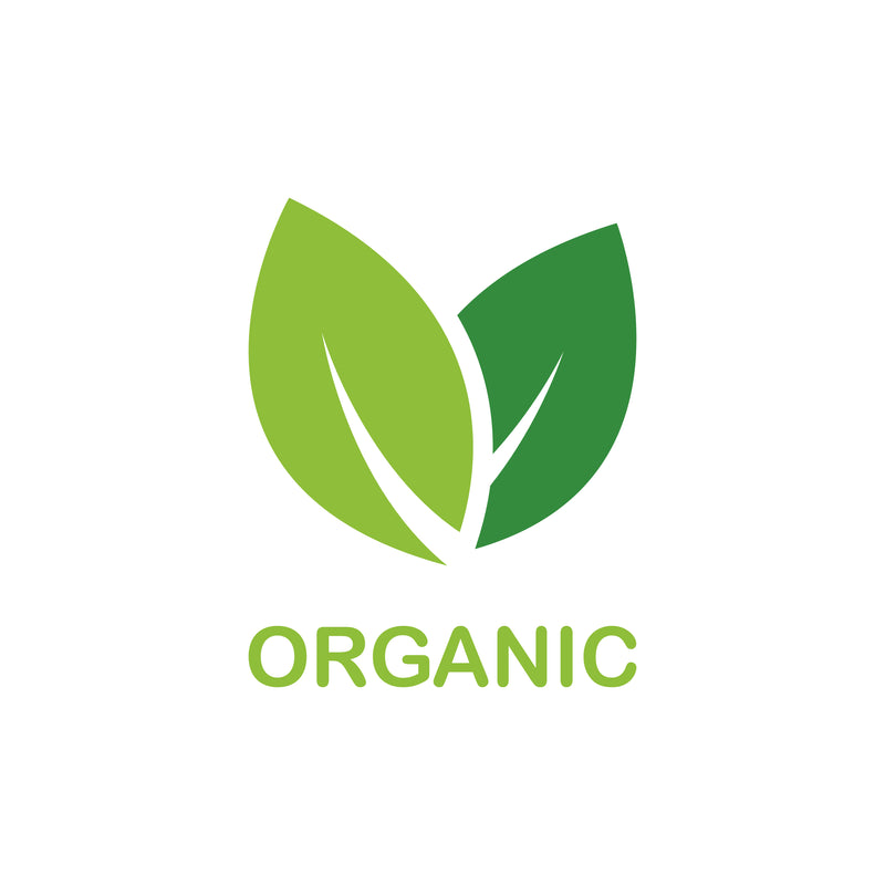 Lettuce Romaine Truchas 50 Non-GMO, Organic, Open Pollinated Seeds