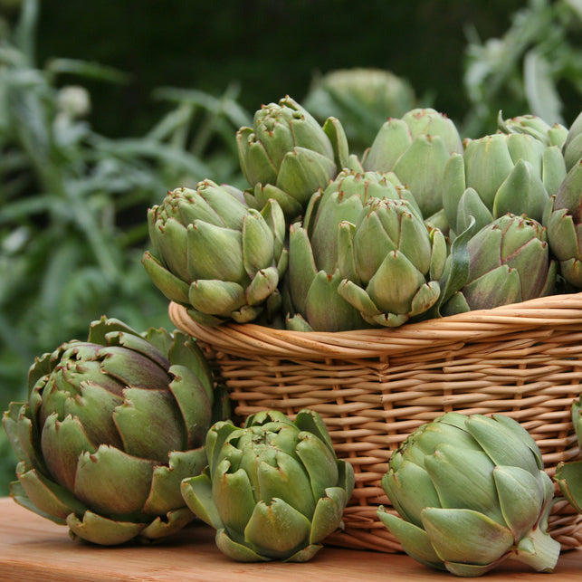A basket filled with fresh artichokes with green leaves, placed on a wooden surface with blurred foliage in the background.