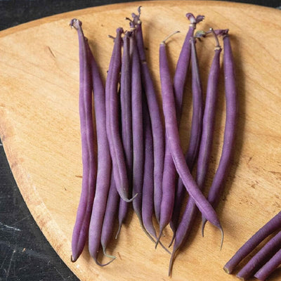 A group of purple Bean Bush Celine pods on a wooden cutting board.