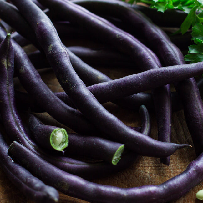 A close-up image of fresh purple bush beans, with a few beans cut open to show the interior.