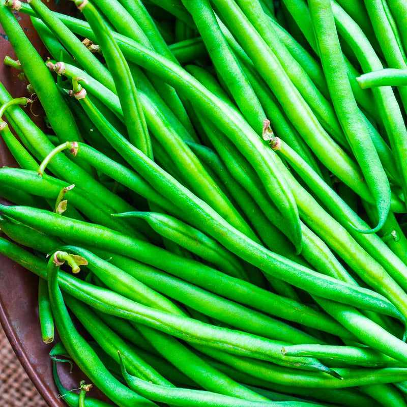 A bunch of fresh green beans displayed in a container.