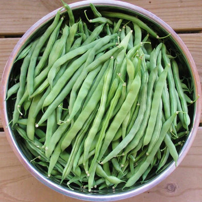 A bowl filled with fresh green beans.