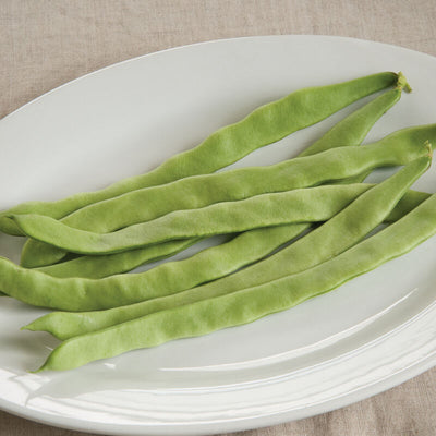 A white plate containing several fresh green pole bean pods.