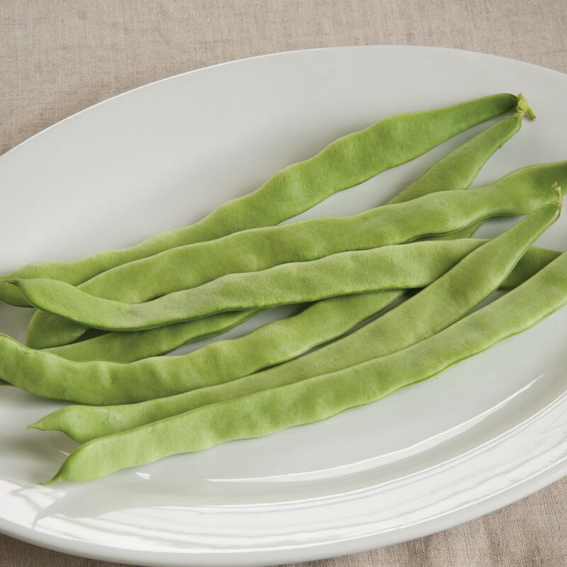 A white plate containing several fresh green pole bean pods.
