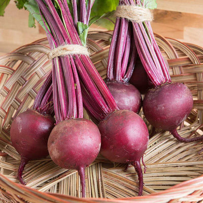 Beet Boro is fast-maturing beet with strong tops.

Beet Boro is widely adapted and reliable. Smooth, rich red skin and excellent flavor. Attractive, fine taproot. Big healthy tops. Stores well through the winter in proper conditions.

Harvest in about 50 days Germination rate about 80% or better.

These beet seeds were organically grown,

Our Non-GMO seeds are sustainable. Our packaging is environmentally friendly, climate friendly, reusable, and recyclable.&nbsp;