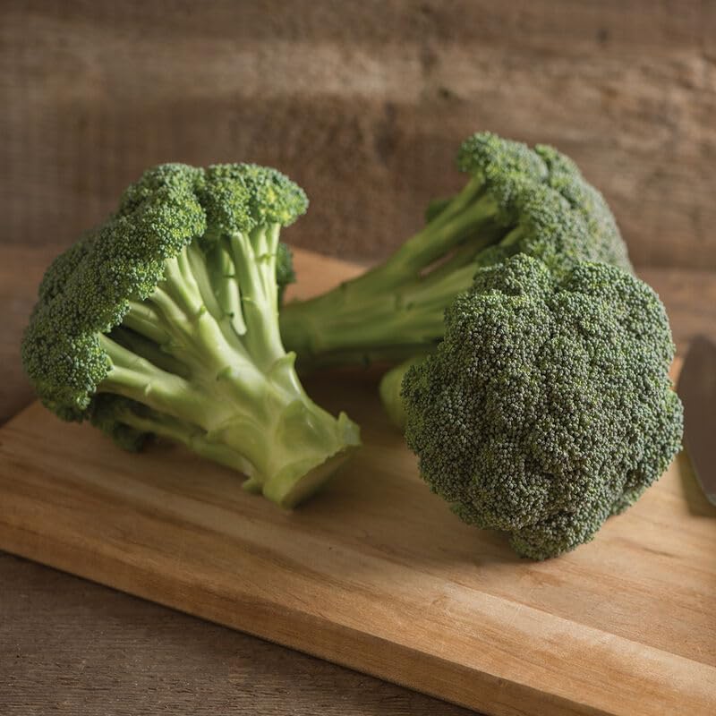 Broccoli Seeds – David's Garden Seeds®