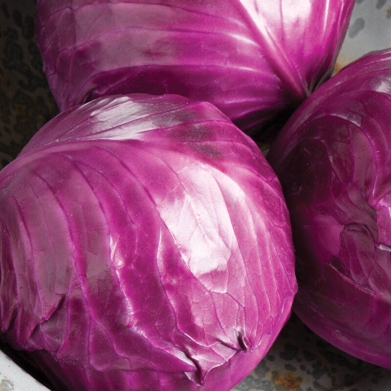 Three round heads of Ruby Perfection cabbage with vibrant purple outer leaves, resting on a surface with a greyish-blue pattern.