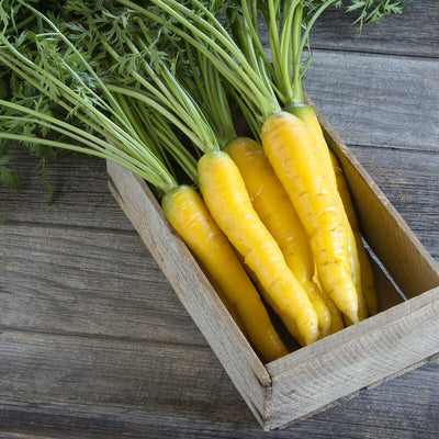 Yellow carrots with green tops in a wooden box on a wooden surface
