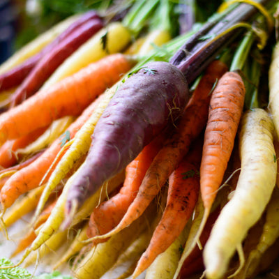 A variety of colorful carrots arranged in rows, including different colors such as purple, orange, and yellow.