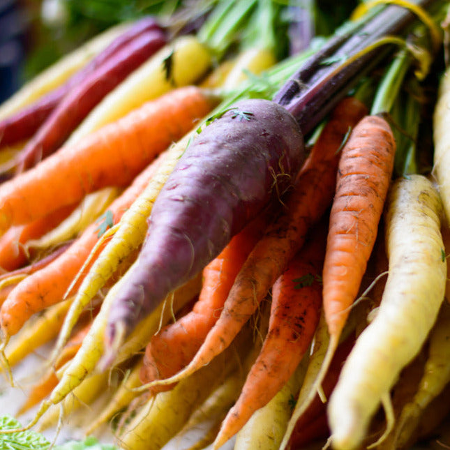 A variety of colorful carrots arranged in rows, including different colors such as purple, orange, and yellow.