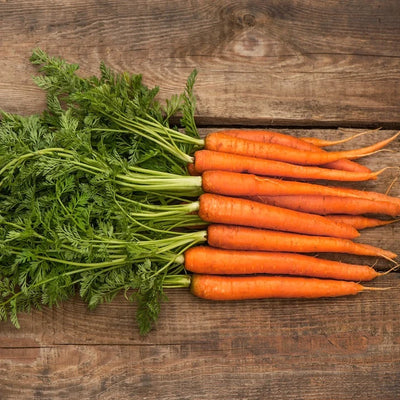 A group of freshly planted Scarlet Nantes carrot seeds on a wooden surface.