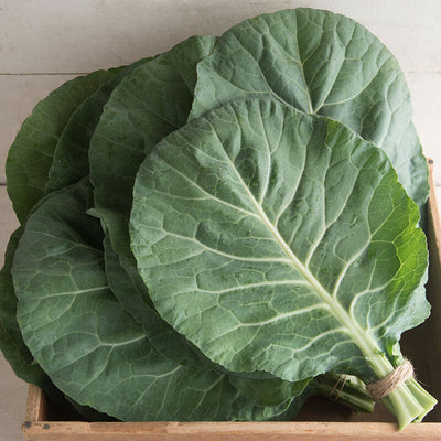 A bunch of leafy green collard greens with a stem, placed in a wooden crate.