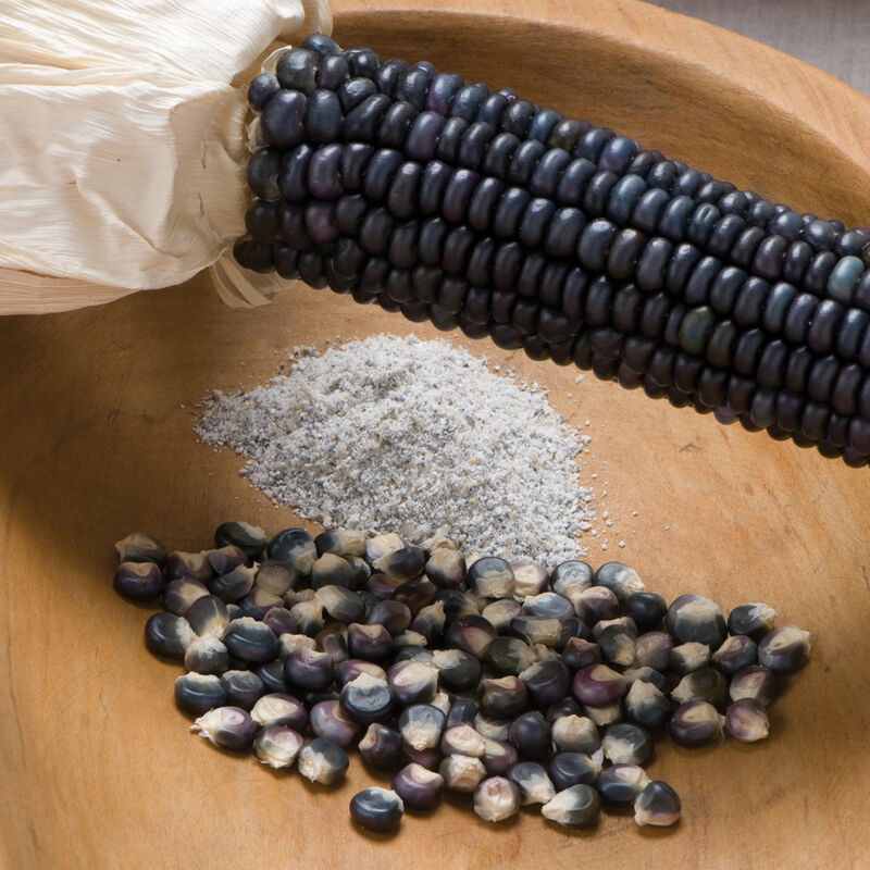 Corn Dent Jerry Petersen Blue is a reliable blue corn for blue flour.
Corn Dent Jerry Petersen Blue produces 7 to 8 inch ears that have good kernel configuration and excellent tip fill.

Also suitable for adding color to fall ornamental displays.
Plants grow to 7 foot tall.
Harvest in 110 days. Germination rate about 80% or better. 