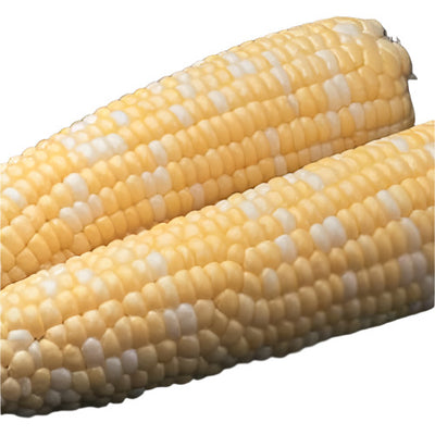 Experience the magic of homegrown vegetables with our Corn Sweet Synergistic Ambrosia seeds. Our family and veteran-owned company has been proudly providing quality, non-GMO, and heirloom seeds since 2009. With high germination rates and our commitment to the GoTexan program, these easy-to-grow seeds are the perfect addition to any garden. Try them today!