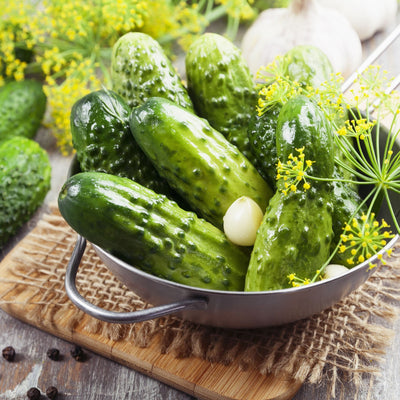 A bowl of fresh Boston pickling cucumbers with dill flowers on a wooden surface.