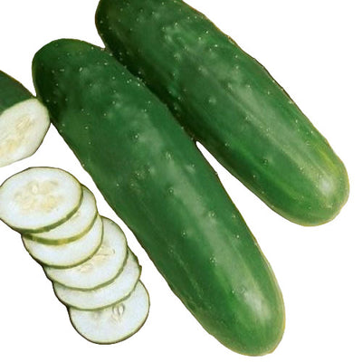 Two whole cucumbers and a plate of sliced cucumbers on a checkered tablecloth.