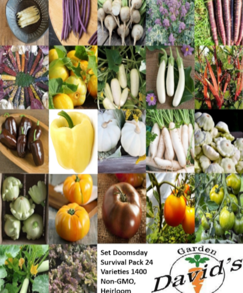 Set Doomsday Survival Pack 24 Varieties 1400 Non-GMO, Heirloom Seeds