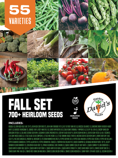 We have put together a smaller Fall Set. There are 55 packets but not as many seeds in the set. There are about 700 seeds.&nbsp;

Our Fall Seed Set (David's recommendations)&nbsp; has Non-GMO, heirloom varieties In individual seed packs.

With heirloom seeds, you can save seeds from the vegetables you grow in your garden for the next season.