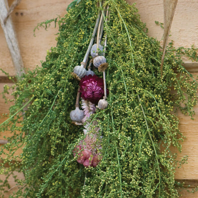 A bundle of dried Artemisia Sweet Annie foliage and flower heads used for crafting and decoration.