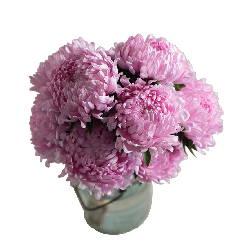 Pink flowers in a vase on a textured beige surface.