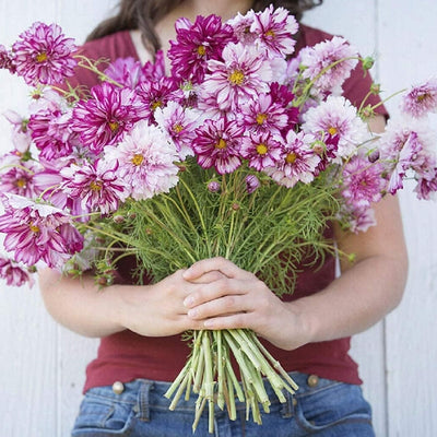 Person holding a bouquet of pink and white flowers against a white background