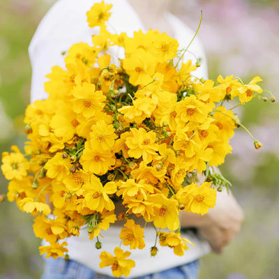 Bouquet of yellow flowers held by a person wearing a white shirt.