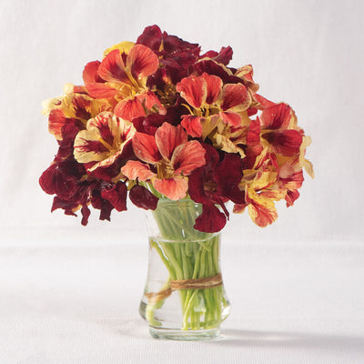 Bouquet of red and yellow flowers in a clear glass vase on a white background